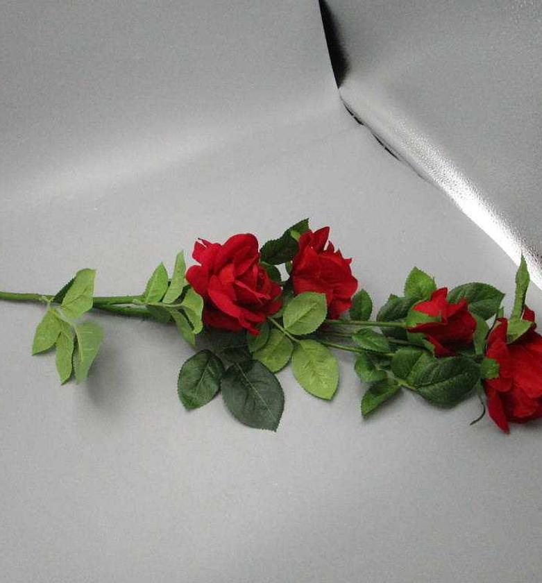 VELVET ROSE X 3 MOQ 5 CTN image