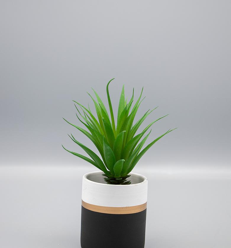 Sword Grass in Ceramic Po image