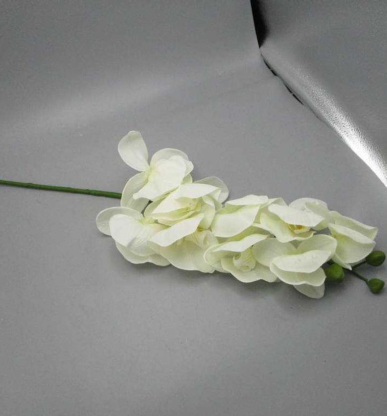 12 HEADS HAND TOUCH BIG O image