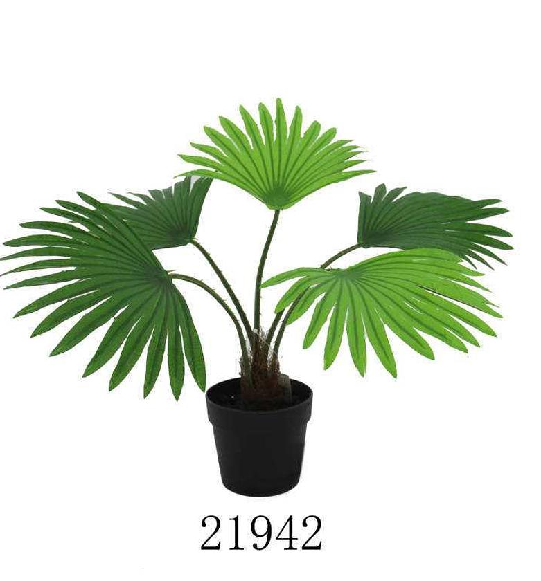 ARTIFICIAL MINI FAN PALM image