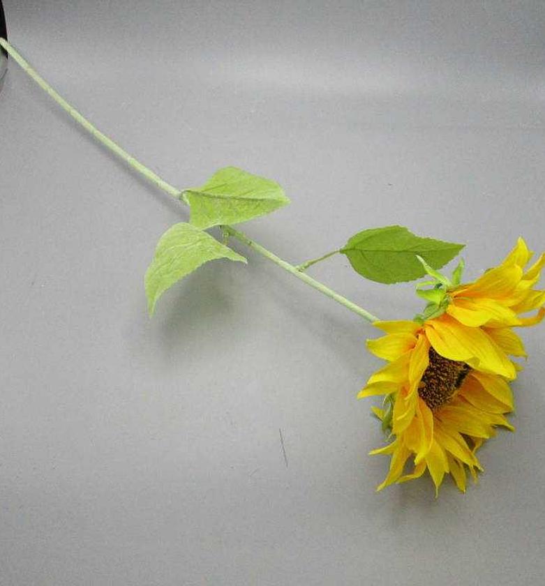 SINGLE SUNFLOWER MOQ 5 CT image