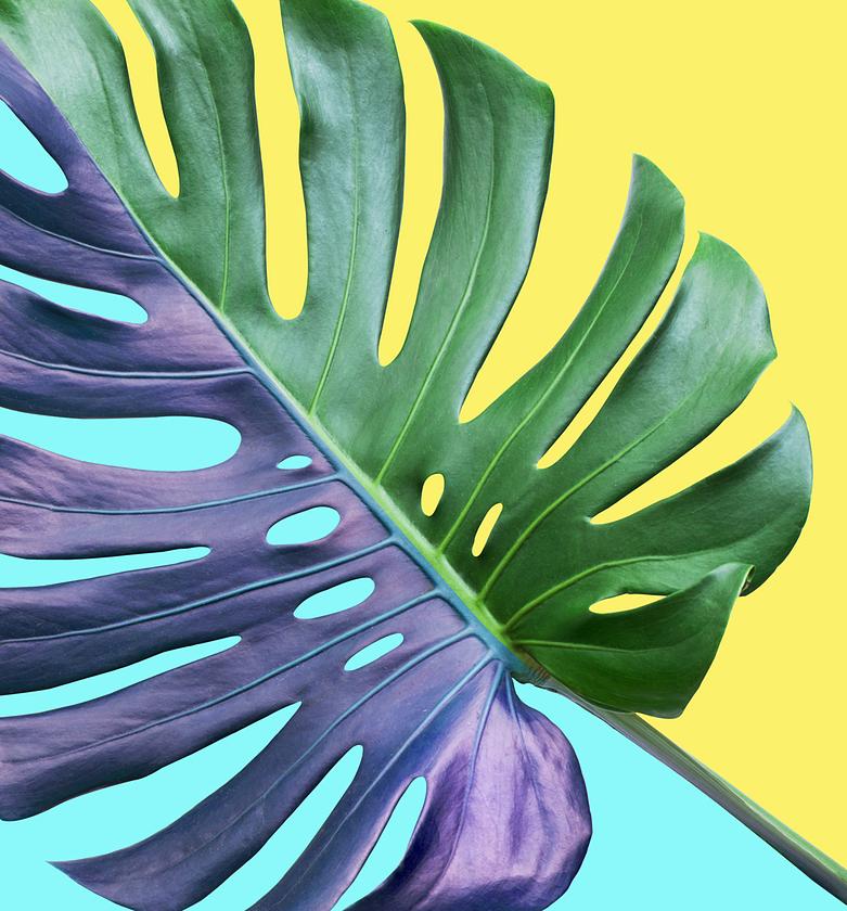 FRAME 4MM TEMPERED GLASS image