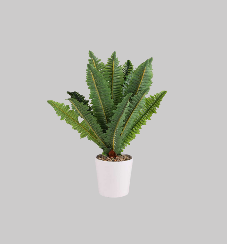 Natural Living Artificial Succulent in White Ceramic Pot image