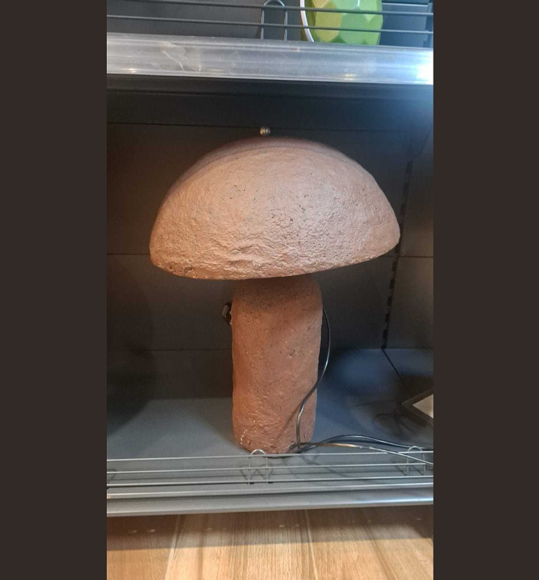 Table lamp adjustable head image