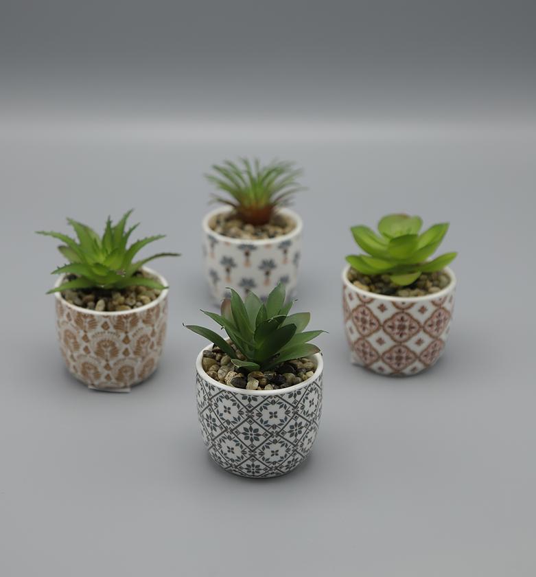 PLANT W PRINTED CRMC POT image