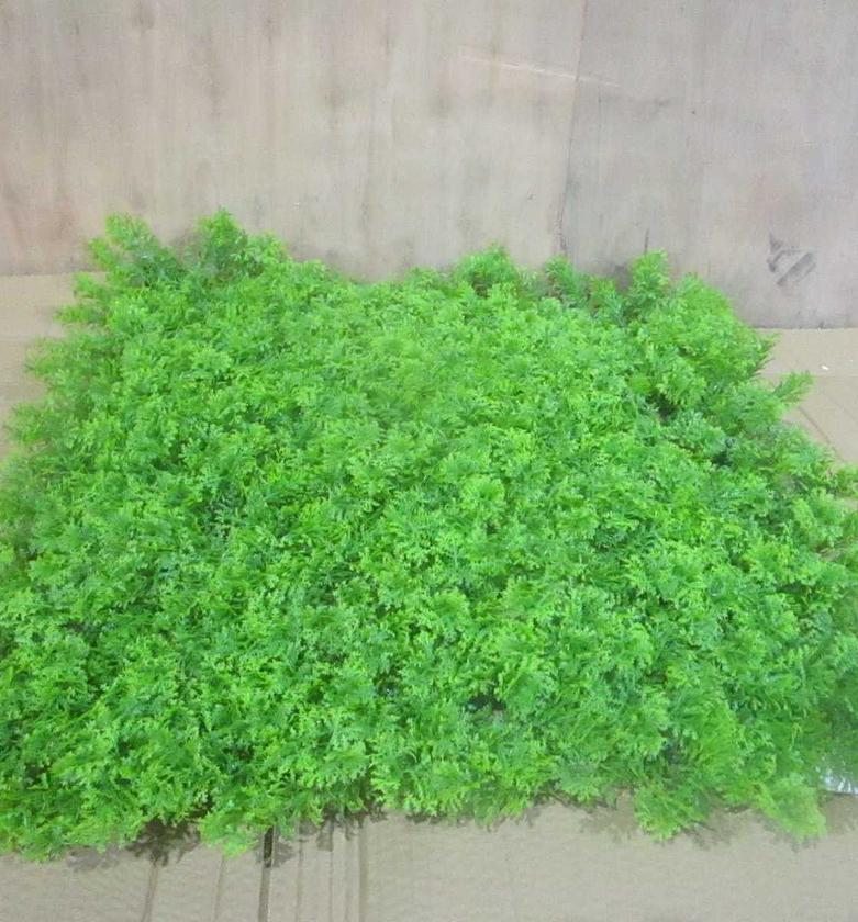 Leaves landscape , uv protect, image