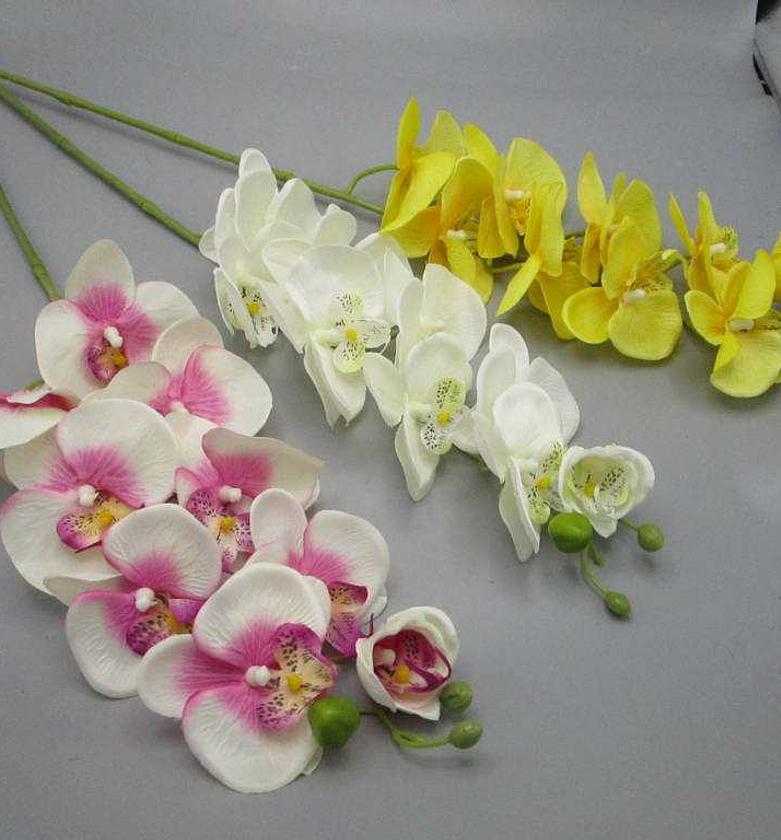 SINGLE ORCHID X9 image
