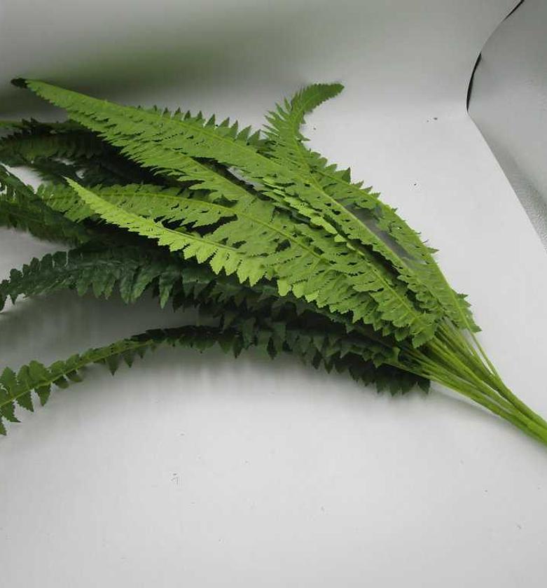 Artificial boston fern bu image