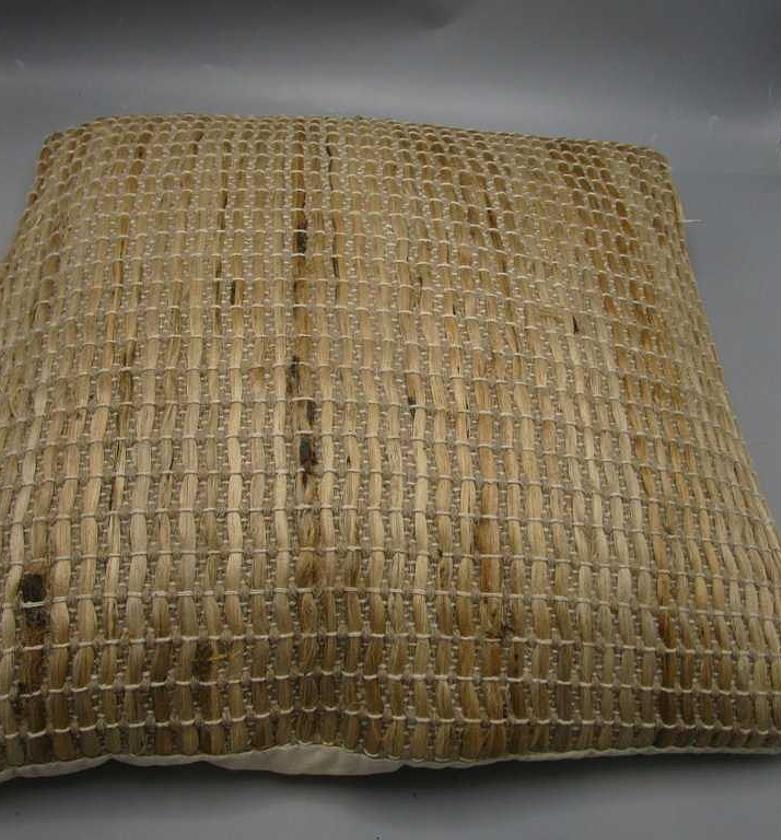 Cushion : front in cotton image