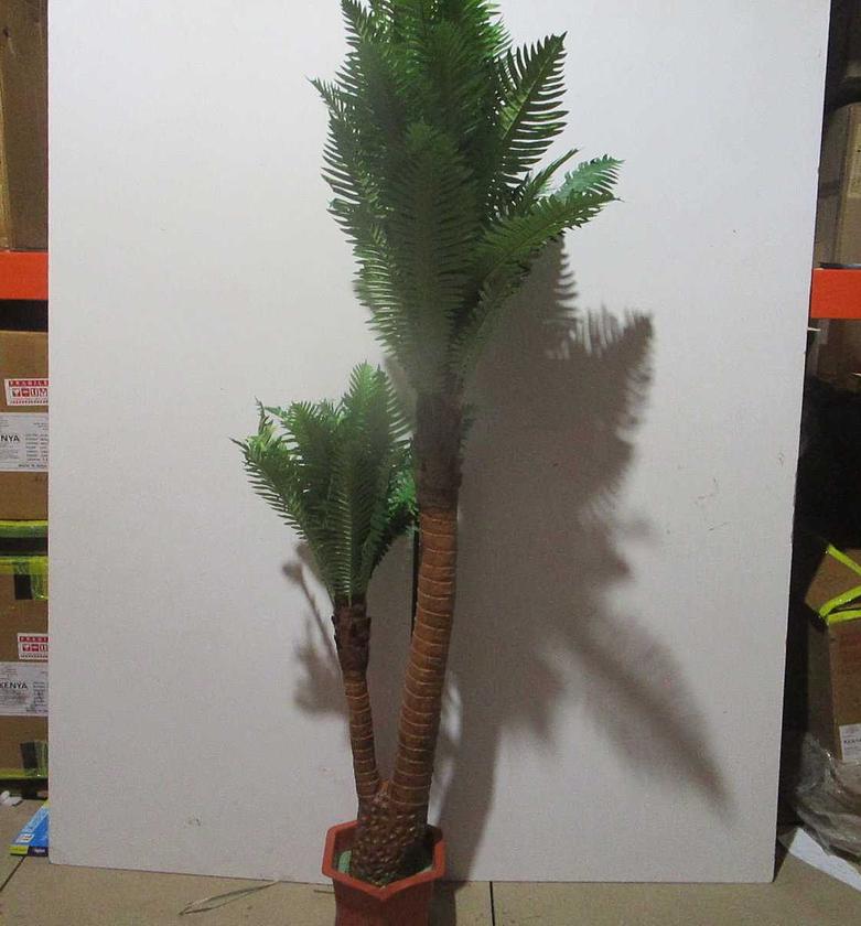 Riches and honour fern 64lvs. image