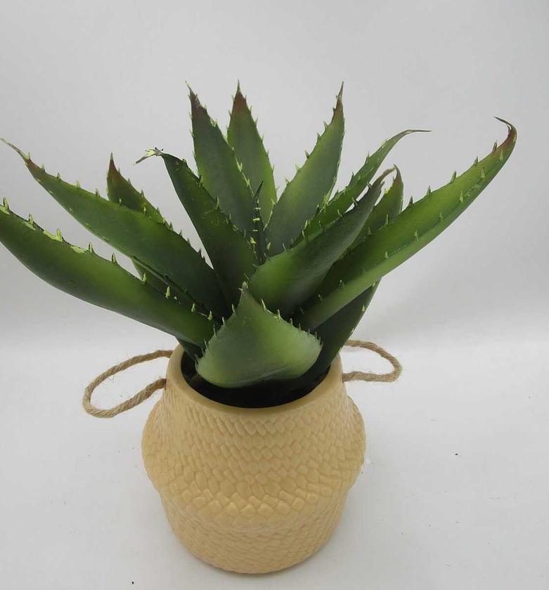 Artificial fern in cement image