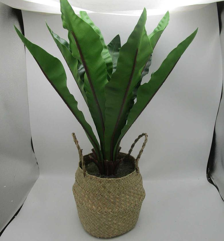 Artificial greenery leave image