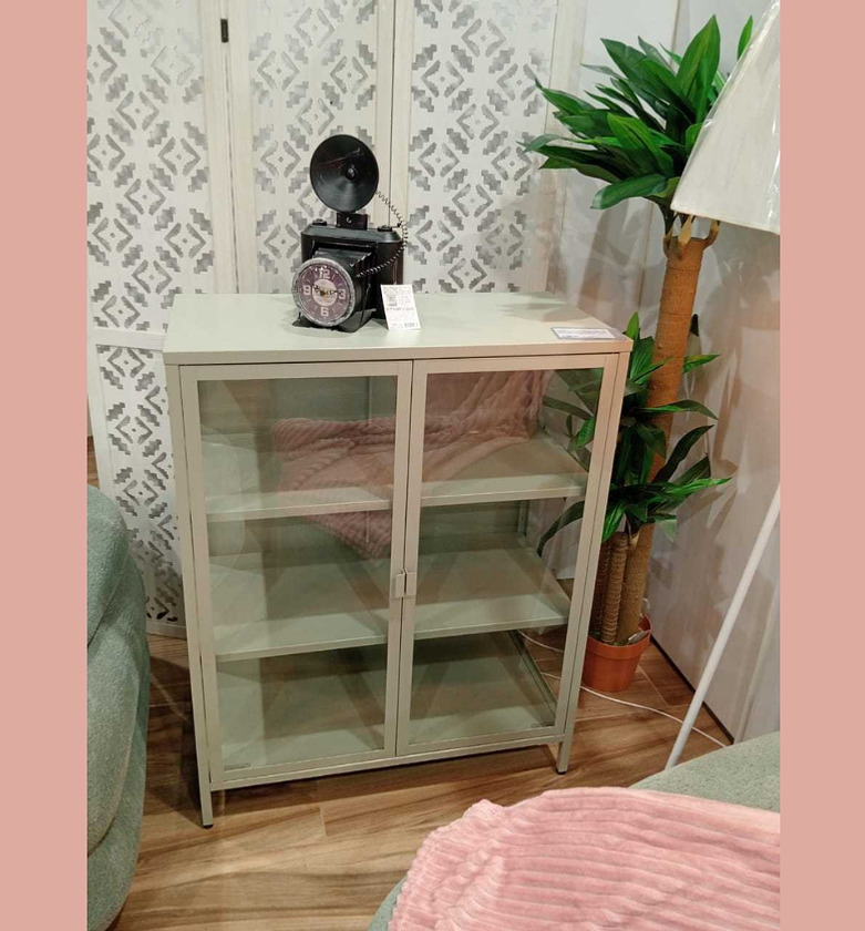 Cabinet 2 doors steel glass image