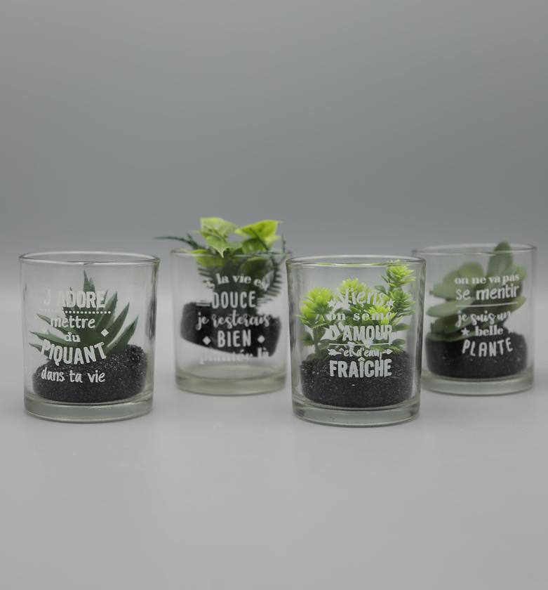 PLANTE MESS D7 H8 image