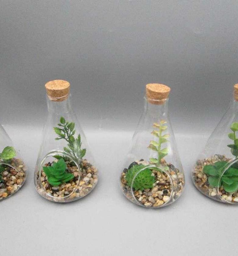 PLANT IN GLASS 9X14CM 4AS image