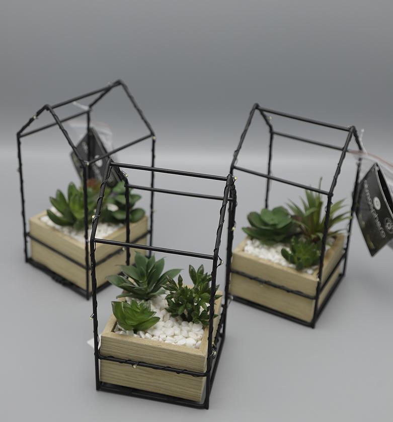 BOX LED HOUSE W PLANT H19 image