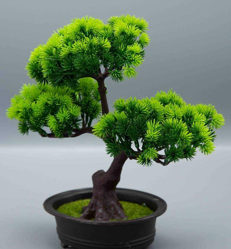 ARTIFICIAL PLANT 
PINE TR image