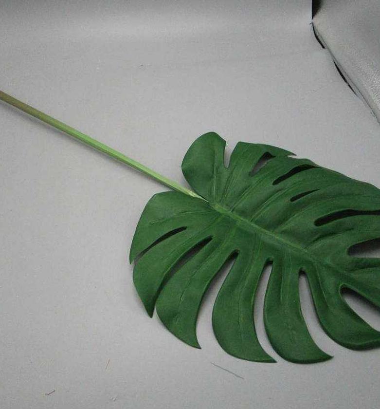 STICK SPLIT PHILO LEAF image