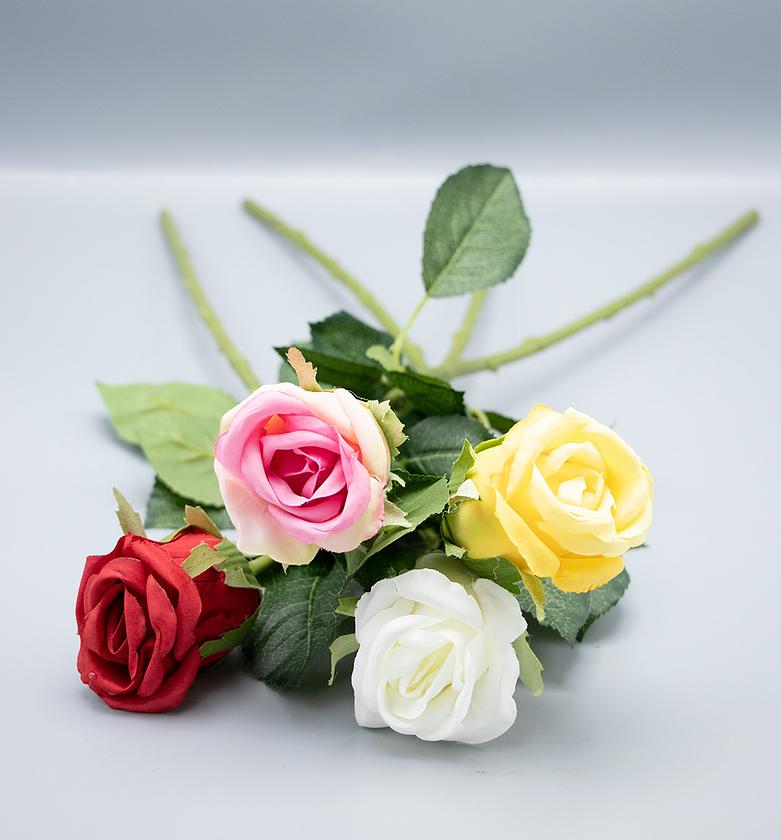 SINGLE ROSE BUD MOQ 5 CTN image