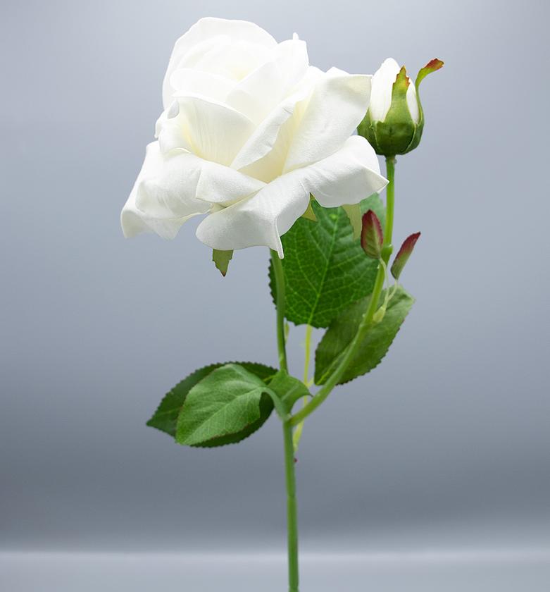 ROSE 2 HEADS MIDDLE VELV image