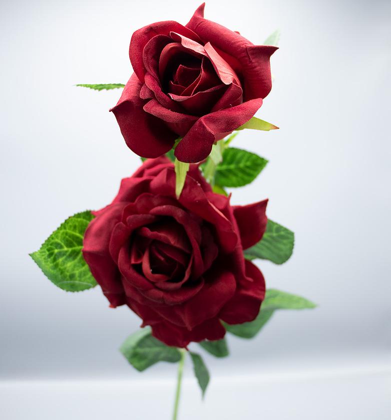 ROSE 3 HEADS VELVET BIG image