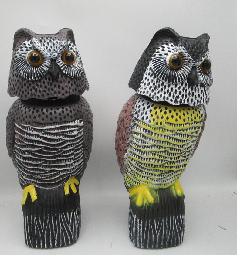 Owl pp with moving head 2 image