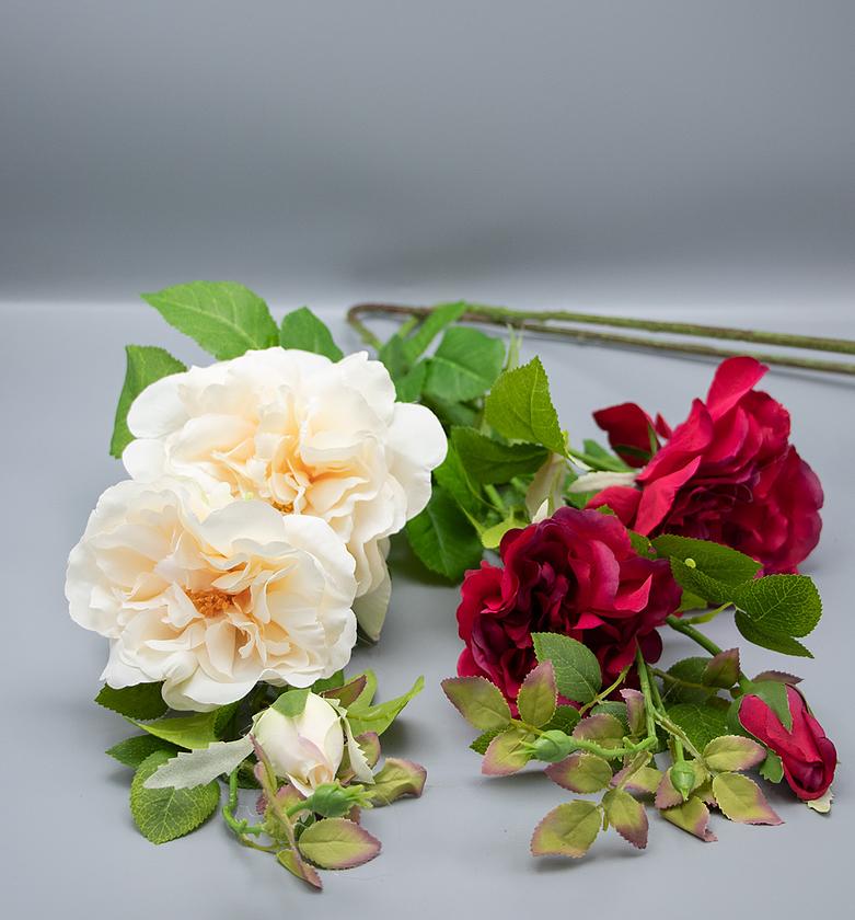 ROSE BIG WILD ROSE X 2 M image