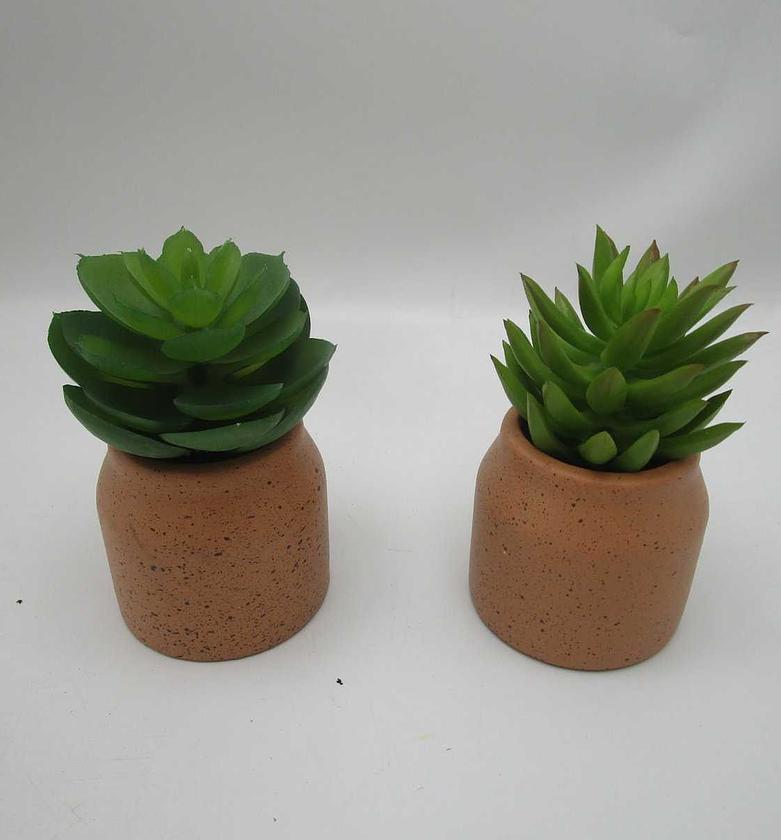Artificial succulent in c image