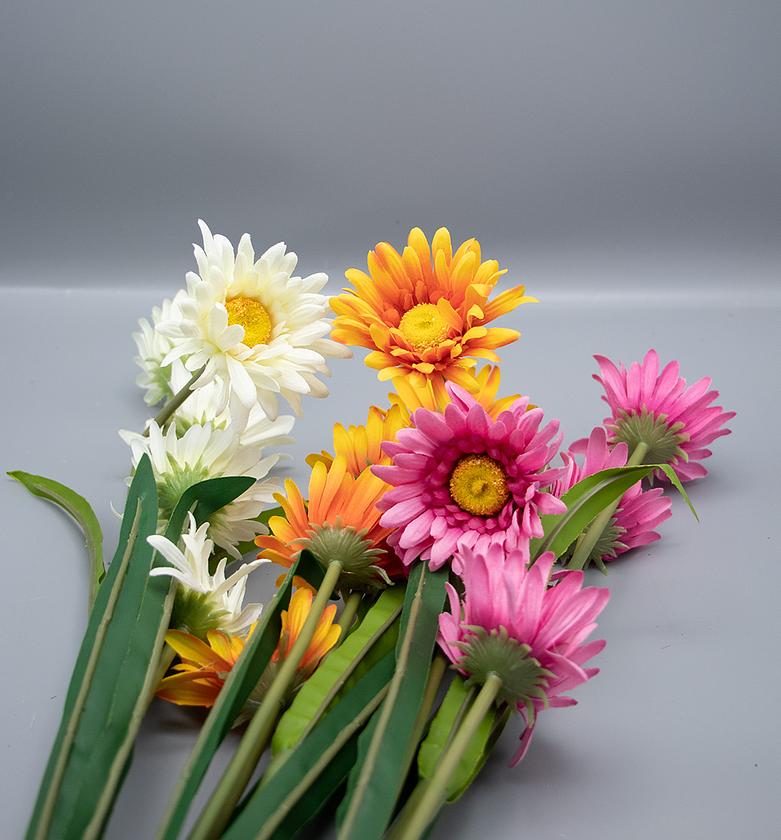 GERBERA X 5 FLOWERS MOQ 5 image