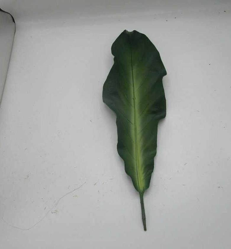 Artificial 56cm single to image