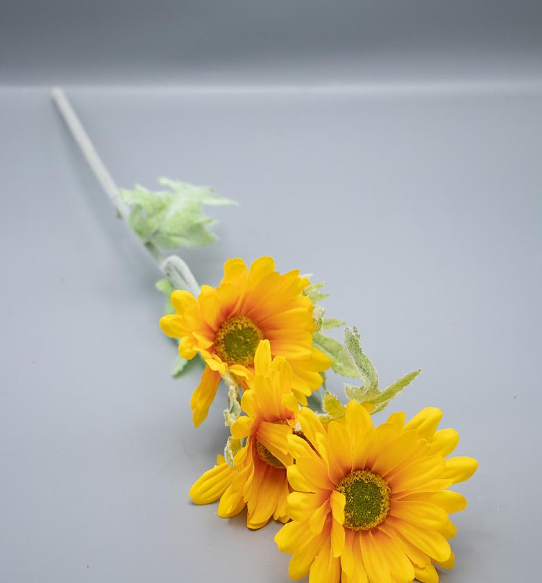 GERBERA X 3 FLOWERS MOQ 5 image