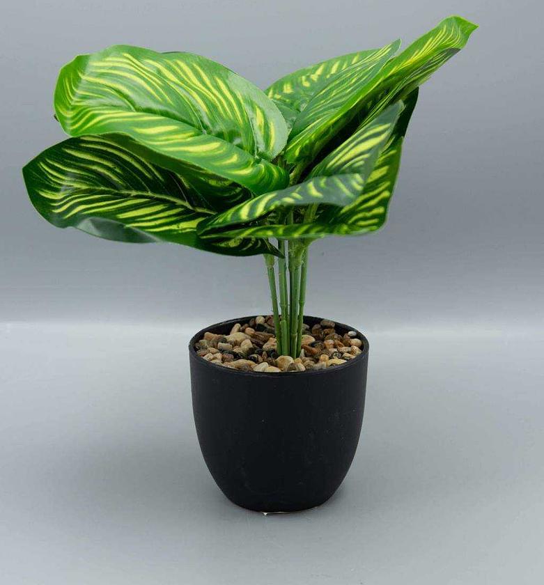 ARTIFICIAL PLANT ASSORTED image