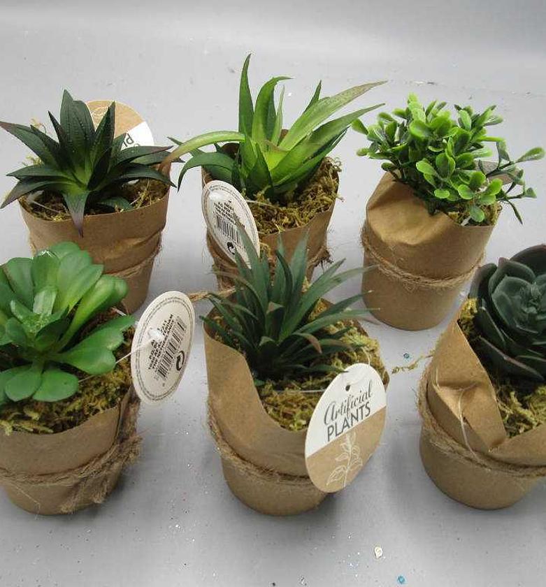 ARTIFICIAL SUCCULENT PLAN image