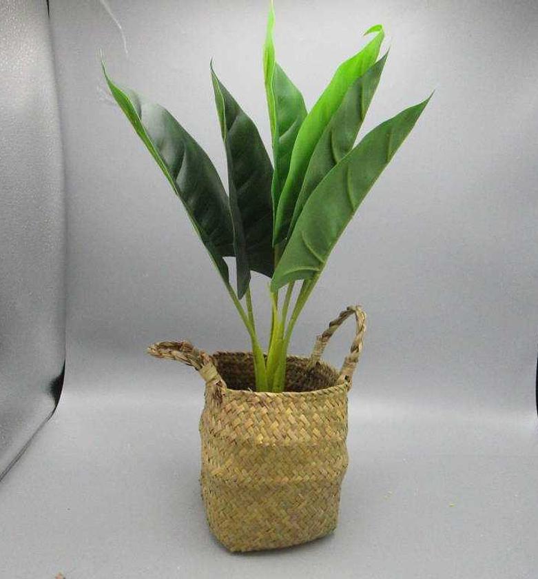 50cm Real tuoch calla lil image