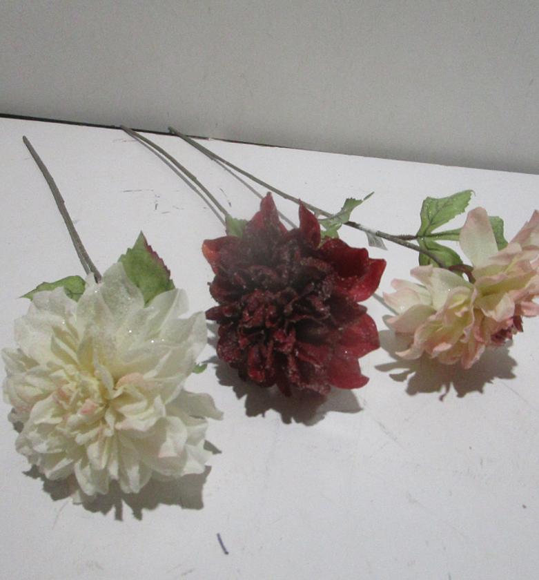 59cm single dahlia with frost image