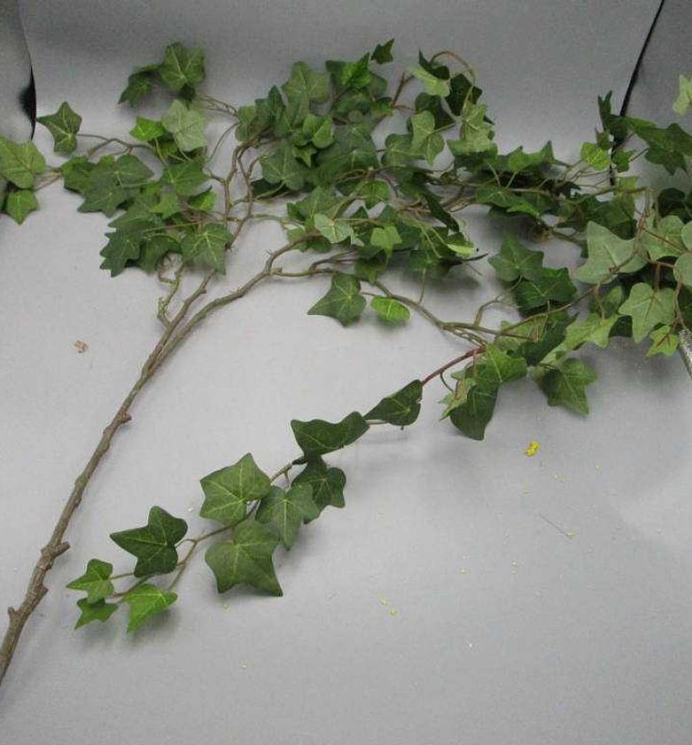 168CM IVY IVNE X 6 1200 M image