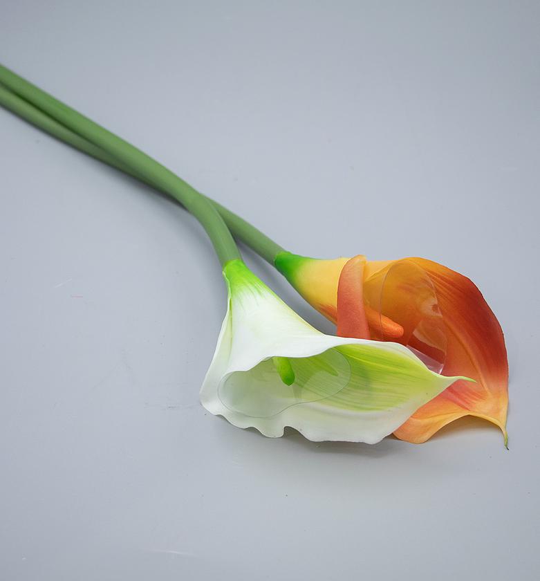 CALLA LILY MOQ 5 CTNS AS image