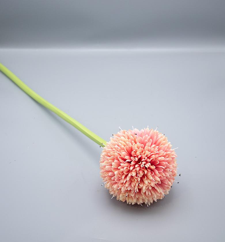 DAISY BALL SINGLE MIDDLE image