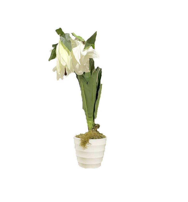 Flower with pot  image