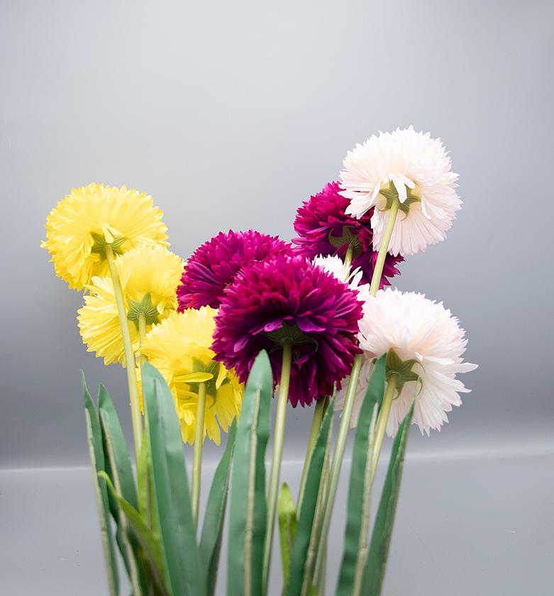 Onion 115cm x 3  360 MOQ image