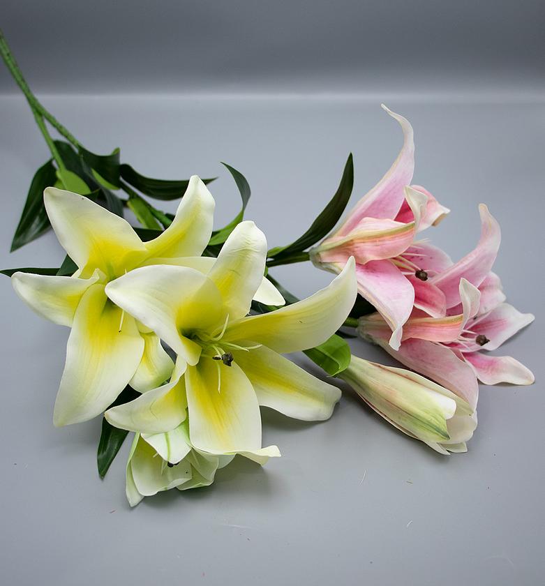 TIGER LILLY  REAL TOUCH 3 image