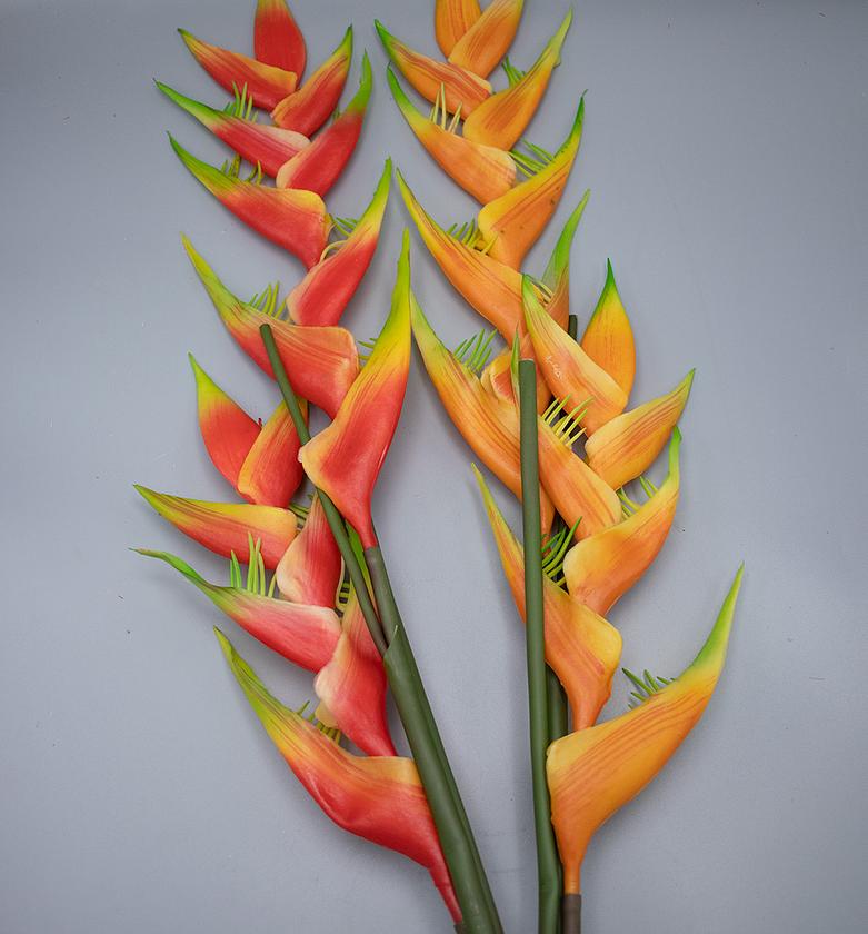 FIRE PHOENIX X 16 FLOWERS image