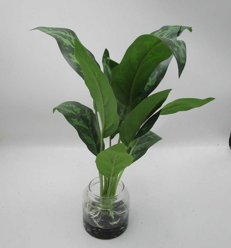 Artificial evergreen in g image