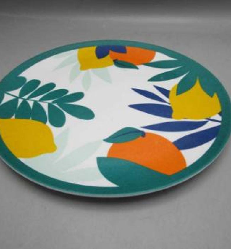 ASSIETTE MELAMINE RIO D25 image