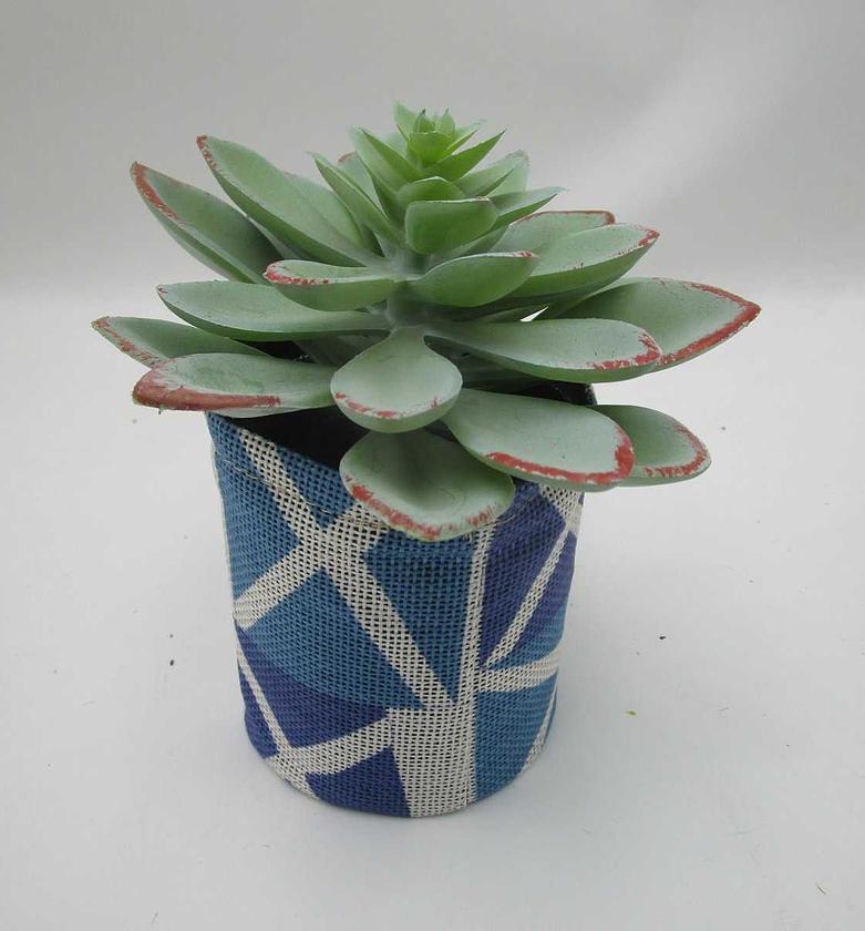 Artificial succulent in f image