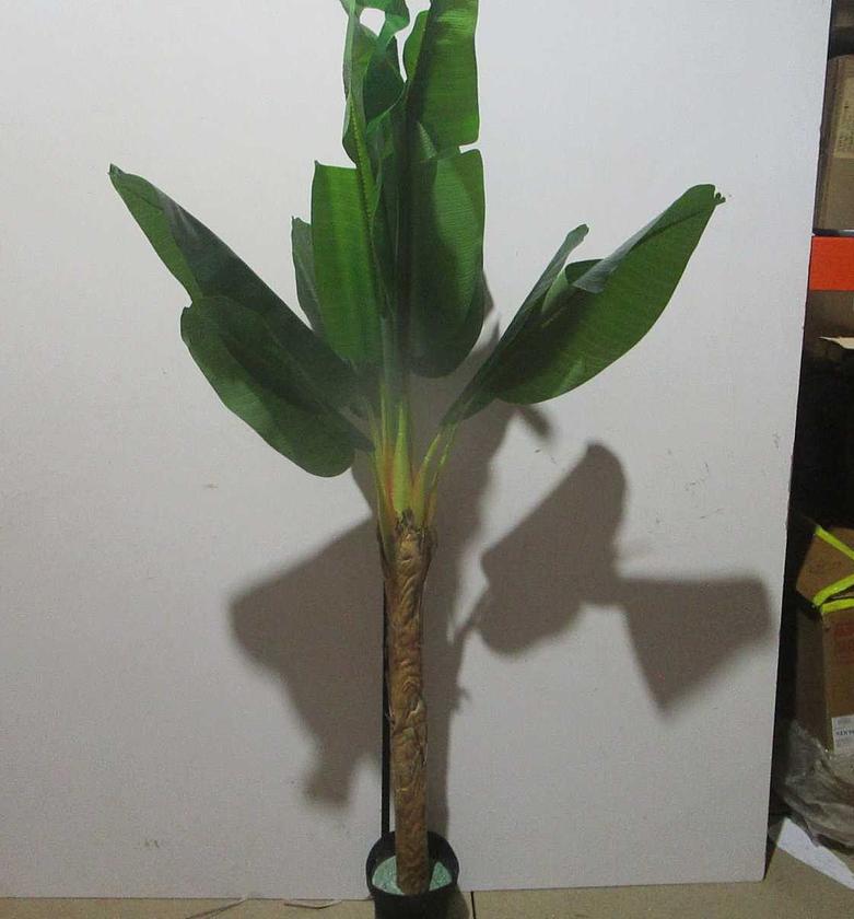 Travel banana 10lvs image