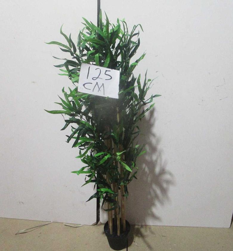 Bamboo 183lvs potted plant image
