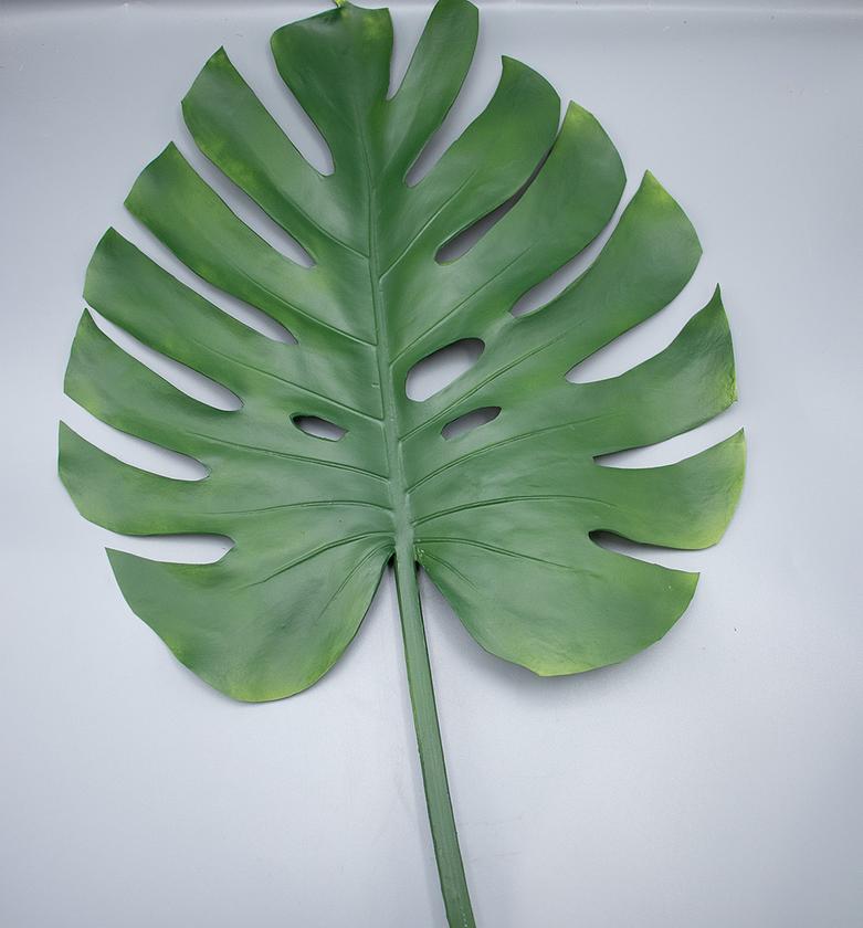 MONSTERA GREEN 41 CM image
