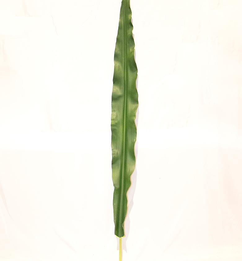 PHRAGMITES LEEVES GREEN 4 image