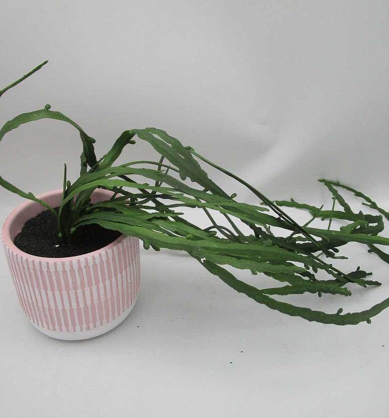 Artificial hanging plants image